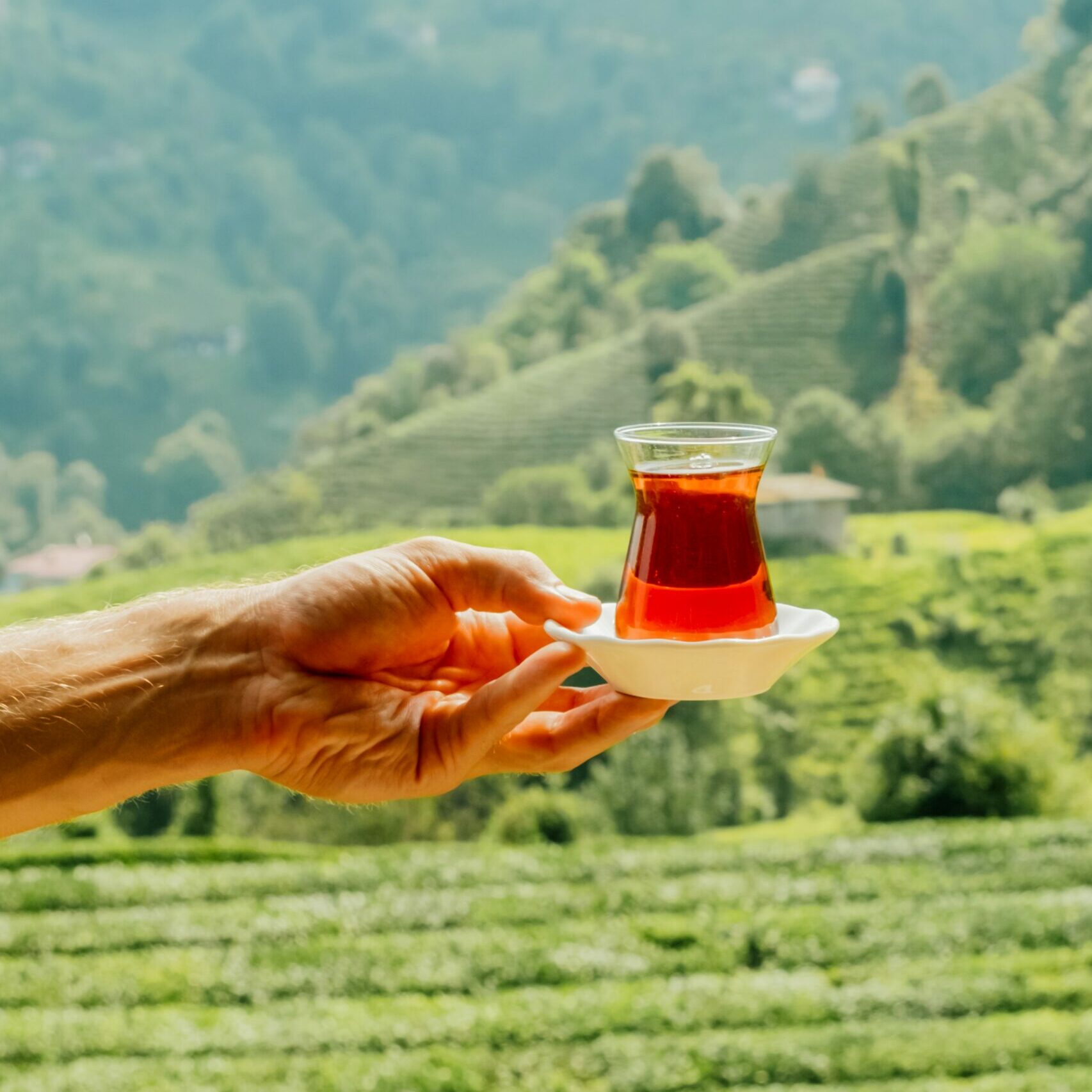 Mans,Hand,Holding,Traditional,Cup,Full,With,Hot,Tea,At